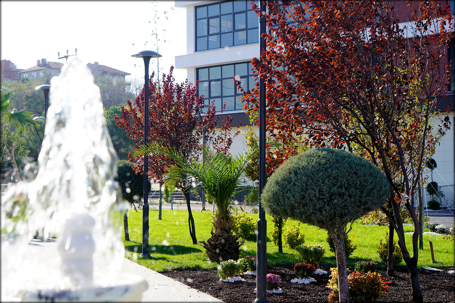 Peyzaj Uygulamaları ve Bahçe Bakımları