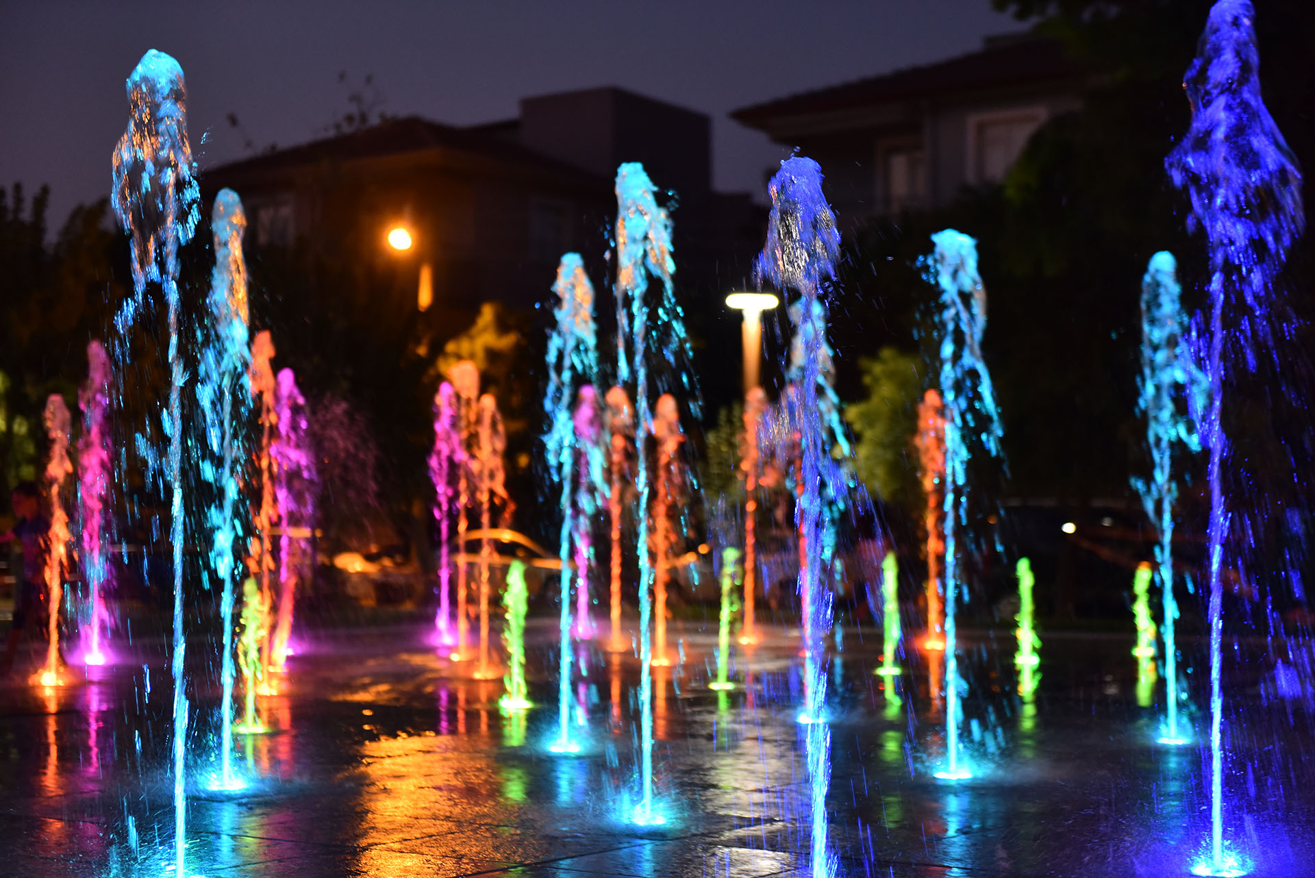 Yüzme ve Süs Havuzları