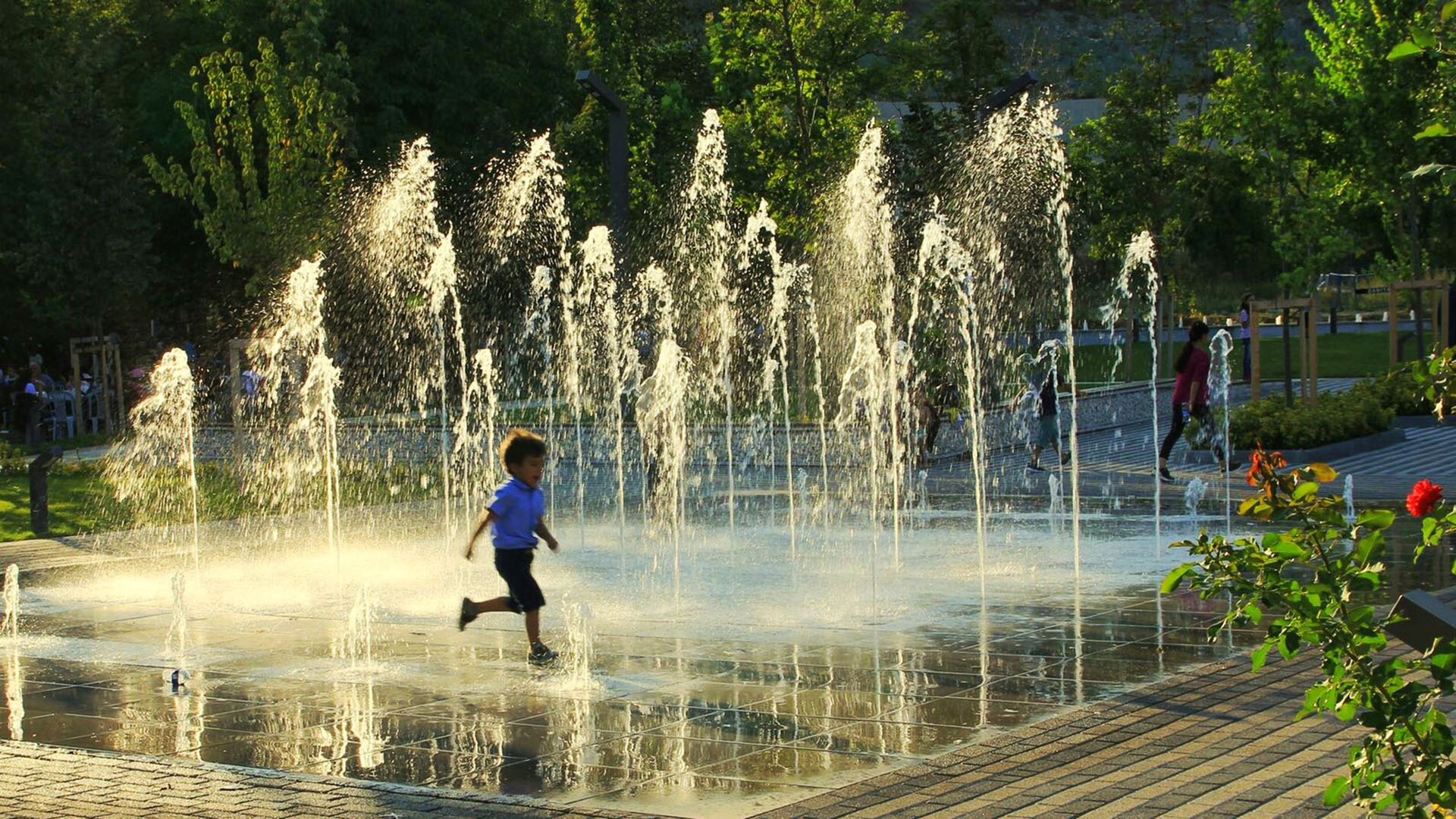 Yüzme ve Süs Havuzları