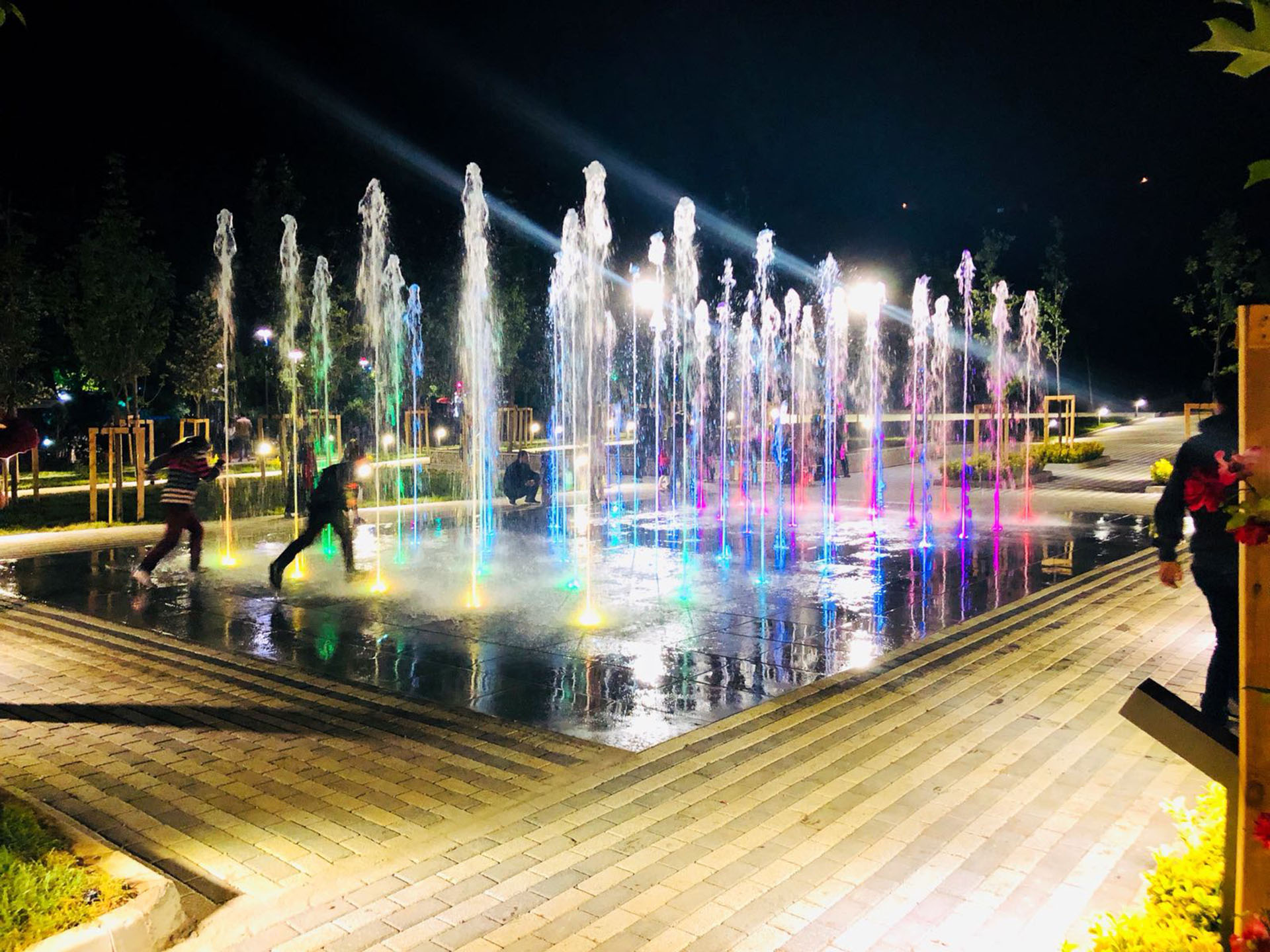 Yüzme ve Süs Havuzları